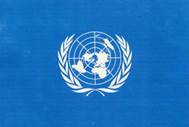 UN Flag copy 5cm